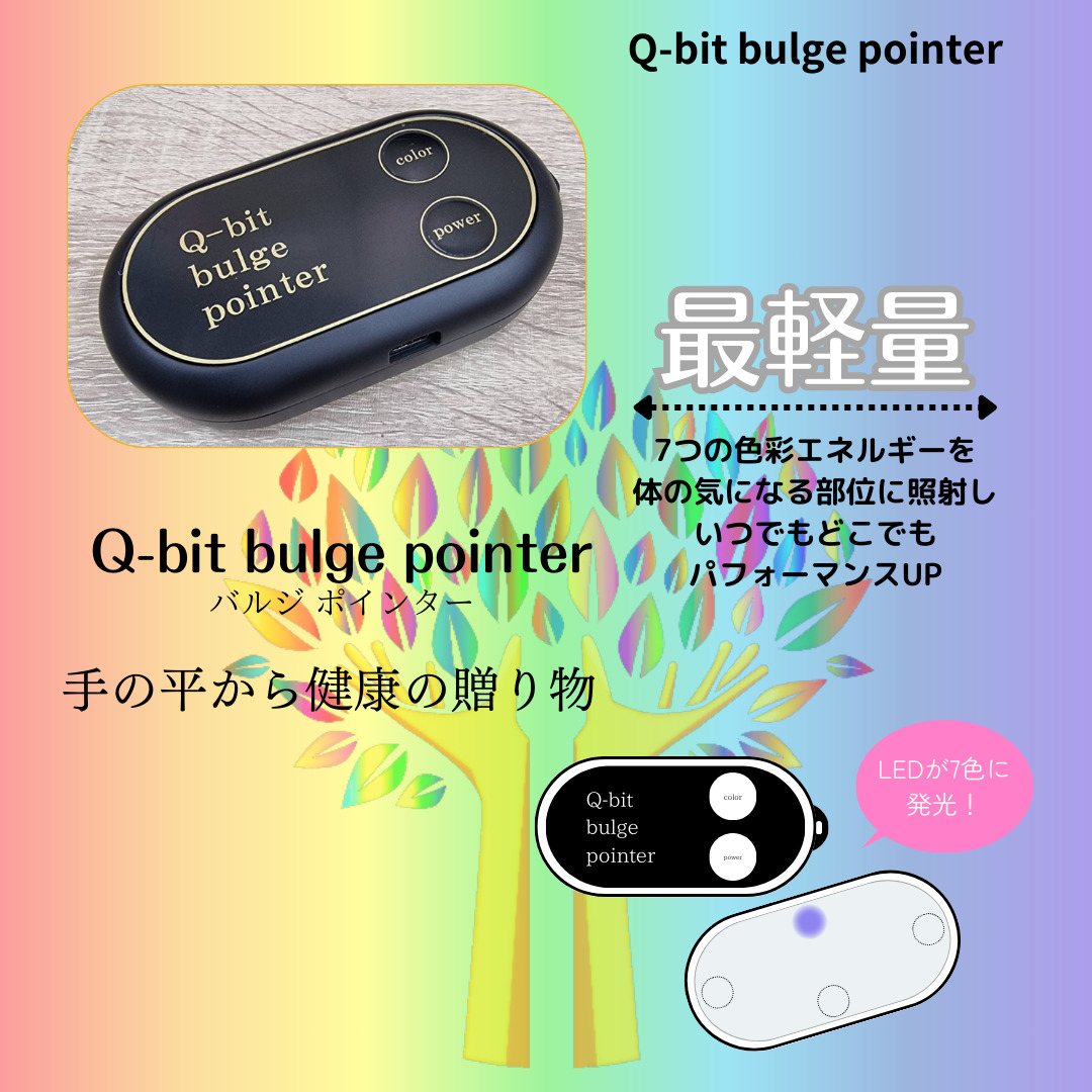 Q-bit bulge pointer 紹介